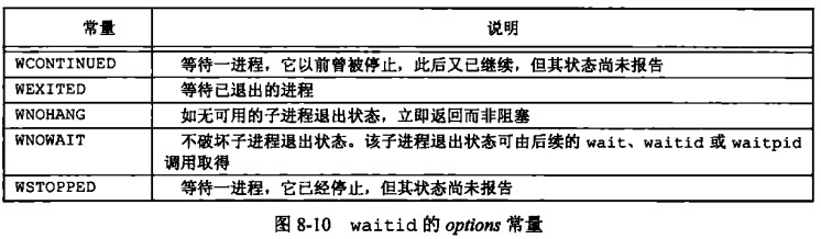 waitid的options